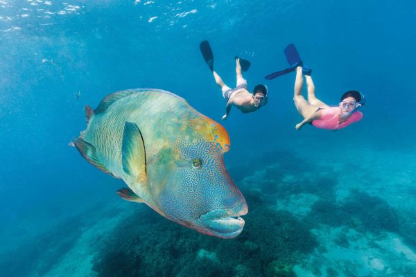 scuba diving at Great Barrier Reef