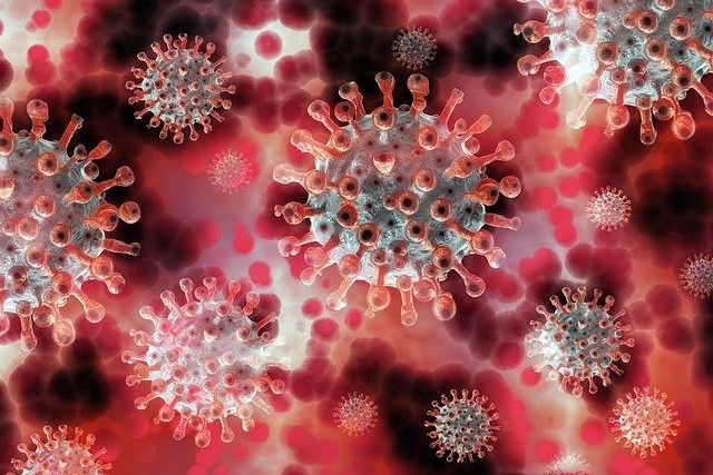 Germs of Coronavirus