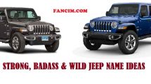find awesome names for jeep
