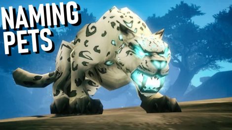 How To Name Your Pet In WOW