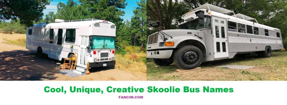 Skoolie Bus Names, Skoolie Bus, school bus conversion,