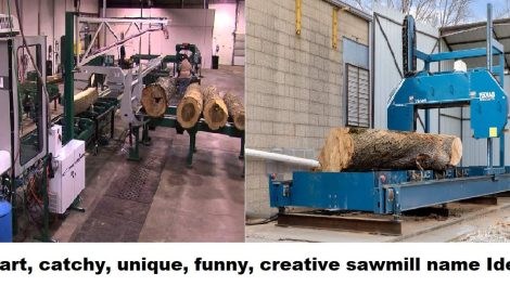 smart, catchy, unique, funny, creative sawmill names