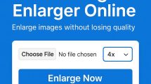Free Image Enlarger Online (without losing quality)