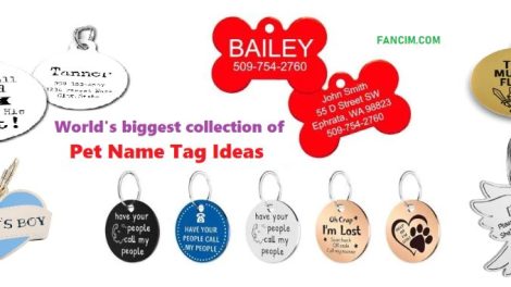 Pet Name Tag Ideas & design