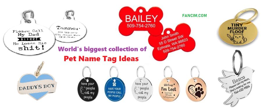 Pet Name Tag Ideas & design