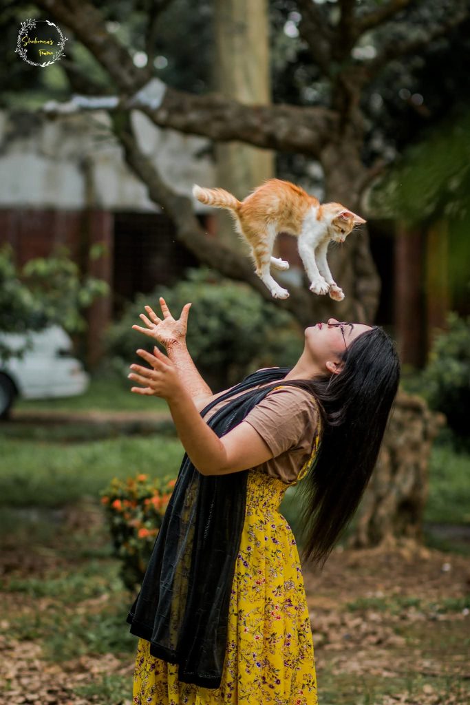 a-kitten-is-playing-with-its-owner-একটি-বিড়ালছানা-তার-মালিকের-সাথে-খেলছে