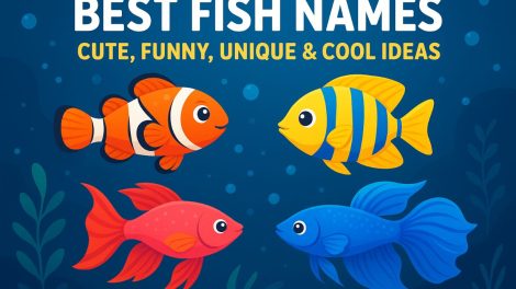 Best Fish Name ideas for aquarium fishes